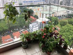 Regent Residences (D12), Apartment #453107561